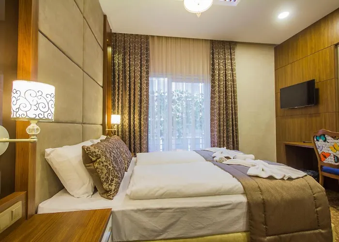 Fidan Taksim Deluxe 2* Istanbulská provincie